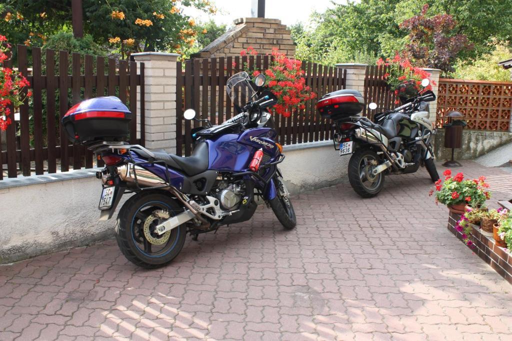 Penzion U Kraliku Kurdejov Bagian luar foto